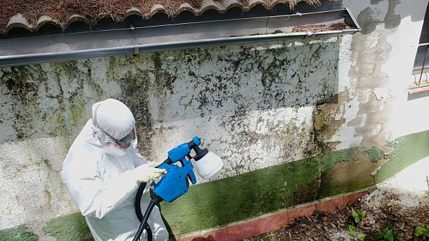 Top rated local Commercial Mold Remediation specialists in Hawthorne, NJ